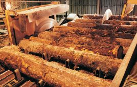 Specially ruggedized linear sensors are designed to withstand impacts and vibration typical of sawmills.