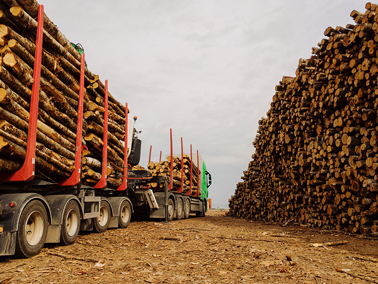 HILA actuators installed on logging trucks and trailers let drivers automatically adjust spacing of the upright support stakes. That can improve vehicle aerodynamics, accommodate varying log sizes and eliminate dangerous manual tasks. | courtesy of Adobe Stock