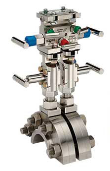 noshok valve