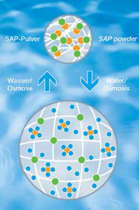 sch-polymergraphic